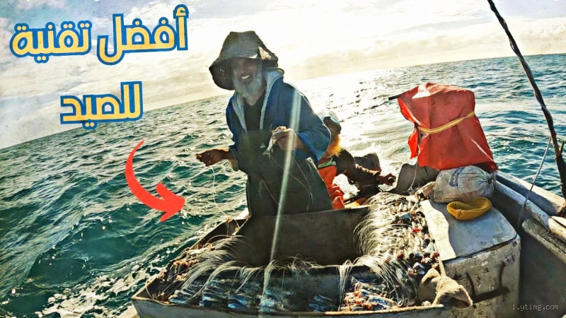 لماذا صيد البحر غير محظور؟ الإجابة الكاملة