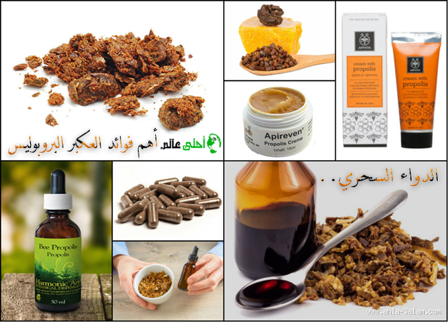 ما هو أفضل أنواع العكبر؟ اكتشف الفوائد والأنواع المميزة