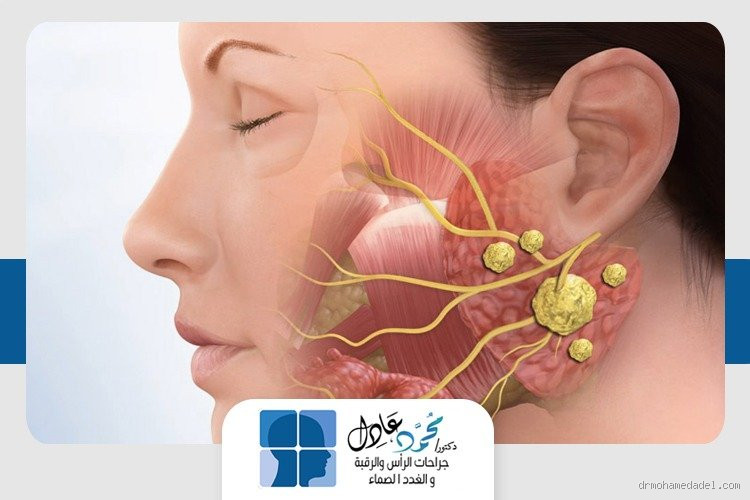 ما هو ملمس الورم السرطاني؟ تعرف على كيفية التعرف عليه