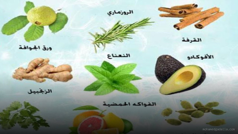 ما هي الأعشاب التي تزيل رائحة الفم الكريهة؟ اكتشف الحلول الطبيعية الساحرة