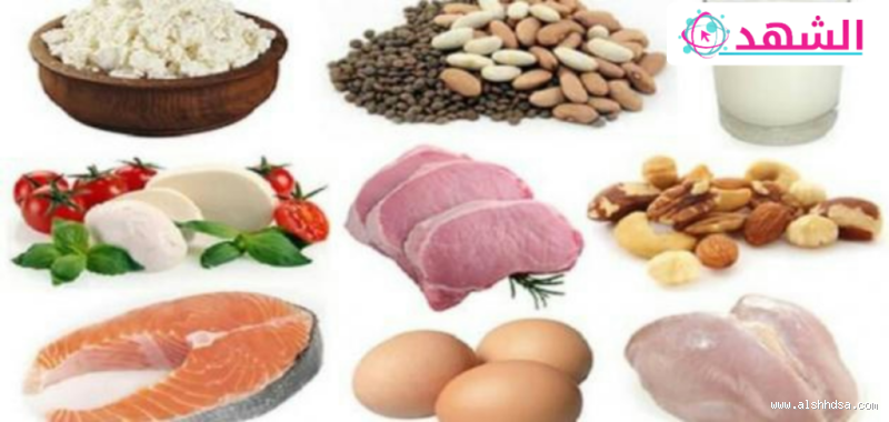 ما هي الأطعمة التي تحتوي على البروتين؟ إليك القائمة الكاملة!
