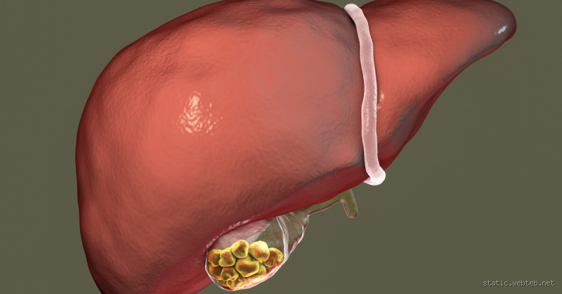 ما هي أعراض ارتفاع إنزيمات الكبد؟