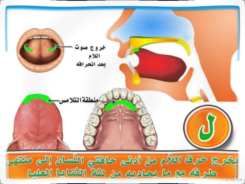ما هي شروط مخارج الحروف؟ الأخطاء التي يقع فيها الكثيرون