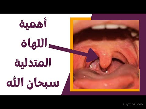 ما الفرق بين اللهاه ولسان المزمار؟ اكتشف التفاصيل المهمة