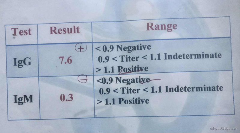 ما معنى تحليل IgG سلبي؟ لا تتوتر… بس افهمه صح