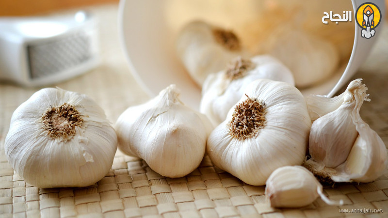 ماذا يفعل الثوم في الكلى؟ فوائده المدهشة لصحة الكلى
