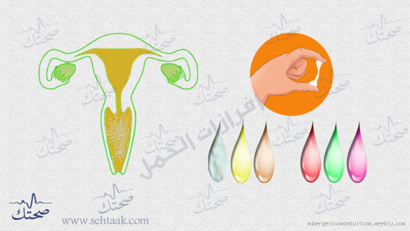 متى تكون إفرازات المهبل خطيرة؟ تعرف على الأعراض والاحتياطات