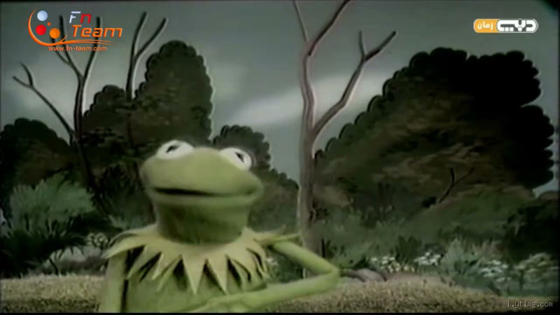 متى يموت الضفدع؟